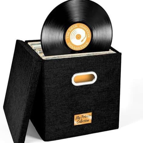 グッズ収納 レコードスタンド収納ボックス